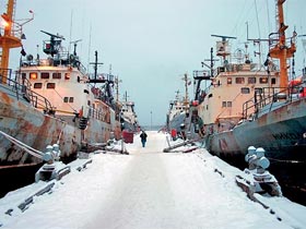траулеры в норвежском порту. фото АИР траулеры в норвежском порту. фото АИР