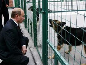 Путин и собака. Фото с сайта newsru.com (с) Путин и собака. Фото с сайта newsru.com (с)