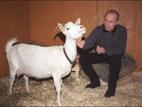Путин и коза. Фото с сайта www.blackbox.o-w.ru Путин и коза. Фото с сайта www.blackbox.o-w.ru