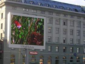 Видеоэкран. Фото: cityvision.ru Видеоэкран. Фото: cityvision.ru
