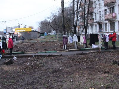 Вырубка у домов на Щелковском шоссе. Фото местных жителей Вырубка у домов на Щелковском шоссе. Фото местных жителей