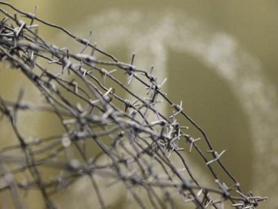 Пацифизм за колючей проволокой. Источник - http://images.aif.ru/ Пацифизм за колючей проволокой. Источник - http://images.aif.ru/