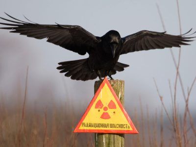 Радиационная опасность Радиационная опасность