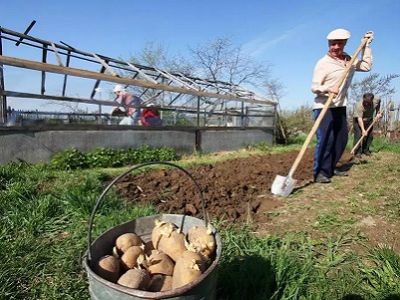 Огородники. Источник - http://dacha.cdi24.ru/ Огородники. Источник - http://dacha.cdi24.ru/