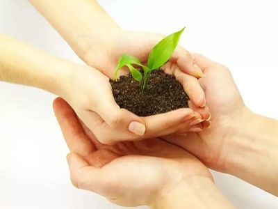 Росток в руках. Источник - http://protecno.web-maxx.com/ Росток в руках. Источник - http://protecno.web-maxx.com/