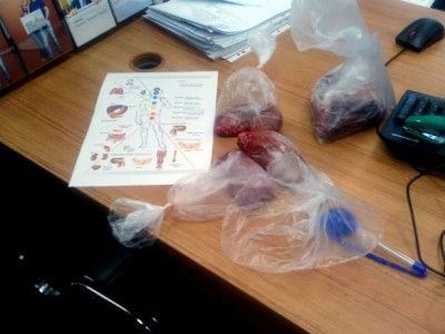 Свиные почки на столе у сотрудника банка ВТБ24. Фото: rosbalt.ru Свиные почки на столе у сотрудника банка ВТБ24. Фото: rosbalt.ru