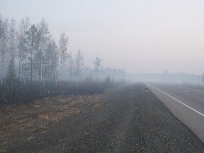 Задымление трассы "Байкал". Фото: dorinfo.ru Задымление трассы "Байкал". Фото: dorinfo.ru