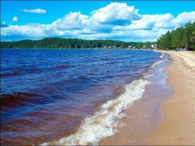 Сямозеро. Фото: matchfishing.ru Сямозеро. Фото: matchfishing.ru