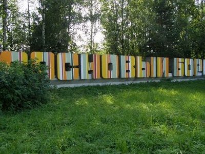 Город Сосновый Бор. Источник - gruzoperevozku.ru Город Сосновый Бор. Источник - gruzoperevozku.ru