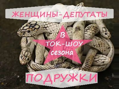 Телешоу женщин-депутатов. Коллаж: Каспаров.Ru Телешоу женщин-депутатов. Коллаж: Каспаров.Ru
