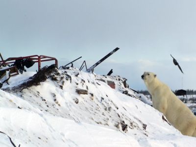 Мусор военных на севере. Фото: НГС.Новости Мусор военных на севере. Фото: НГС.Новости