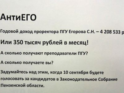 Листовка против Егорова. Фото: Александр Воронин, Каспаров.Ru Листовка против Егорова. Фото: Александр Воронин, Каспаров.Ru