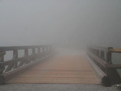 Путь в тумане. Источник - rocknrollyogi.com Путь в тумане. Источник - rocknrollyogi.com