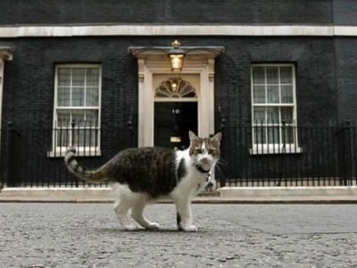Резиденция премьер-министров Британии и Ларри, Государственный мышелов. Источник - bbc.com Резиденция премьер-министров Британии и Ларри, Государственный мышелов. Источник - bbc.com