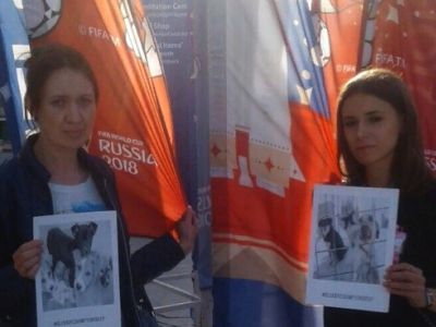Минута молчания в память об убитых животных. Фото: Владимир Лапкин, Каспаров.Ru Минута молчания в память об убитых животных. Фото: Владимир Лапкин, Каспаров.Ru