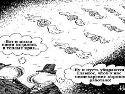 Утечка мозгов Утечка мозгов