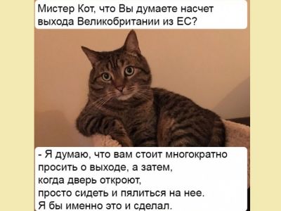 Кот и "Брекзит". Интернет-мем: smart-lab.ru Кот и "Брекзит". Интернет-мем: smart-lab.ru