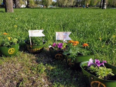 Цветы в касках. Фото: "ВКонтакте" Цветы в касках. Фото: "ВКонтакте"