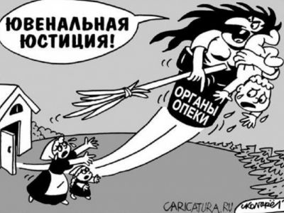 Ювенальная юстиция - Баба-Яга. Карикатура: caricatura.ru Ювенальная юстиция - Баба-Яга. Карикатура: caricatura.ru
