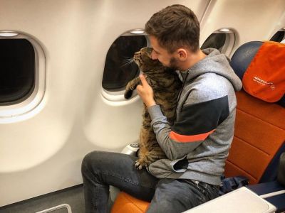 Путешествие кота Виктора со своим хозяином. Фото: facebook.com/mikhail.galin.7 Путешествие кота Виктора со своим хозяином. Фото: facebook.com/mikhail.galin.7