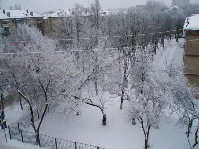 Зимний день в Туле. Фото: Александр Хоц Зимний день в Туле. Фото: Александр Хоц