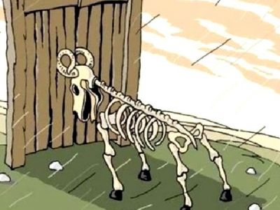 Упертый баран. Карикатура: stihi.ru Упертый баран. Карикатура: stihi.ru