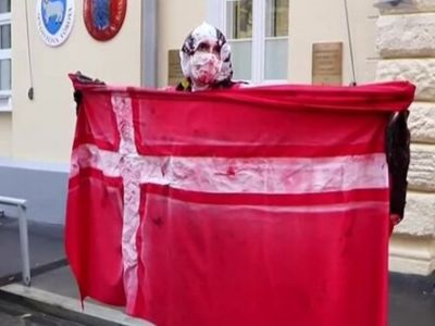 Одиночный пикет у посольства Дании в Москве против массового убийства норок, 7.11.2020. Скрин: m24.ru Одиночный пикет у посольства Дании в Москве против массового убийства норок, 7.11.2020. Скрин: m24.ru