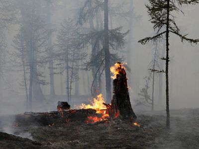 Фото: Василий Купер / AP Фото: Василий Купер / AP
