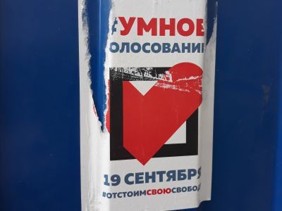 Умное голосование. Фото: А.Трофимов Умное голосование. Фото: А.Трофимов