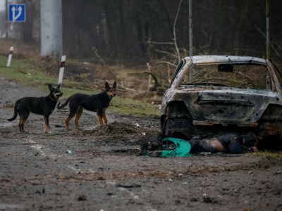 Буча после освобождения от оккупантов. Фото: t.me/ressentiment_channel Буча после освобождения от оккупантов. Фото: t.me/ressentiment_channel