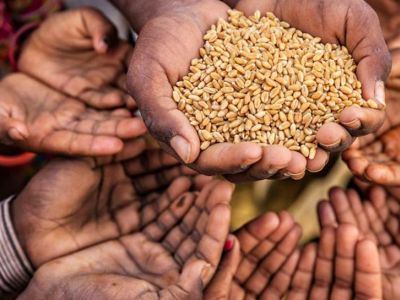 Женщина-волонтер раздает зерно голодающим африканским детям. Фото: Hadynyah / Istock Женщина-волонтер раздает зерно голодающим африканским детям. Фото: Hadynyah / Istock