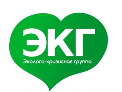 Логотип "Эколого-кризисной группы". Фото: ВКонтакте Логотип "Эколого-кризисной группы". Фото: ВКонтакте