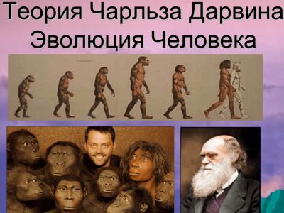Теория эволюции Дарвина. Фото: deploy.studylib.ru Теория эволюции Дарвина. Фото: deploy.studylib.ru