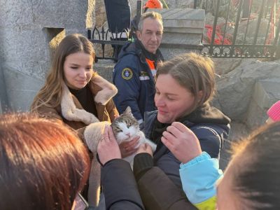 Кошка Муся в первые минуты после спасения, 25.02.25. Фото: соцсети Кошка Муся в первые минуты после спасения, 25.02.25. Фото: соцсети
