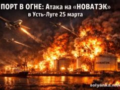 Пожар в порту Усть-Луга. Фото: solyanka.media
